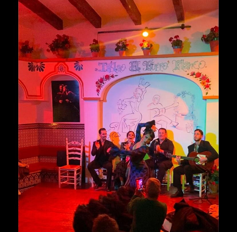 El Burro Blanco Flamenco Bar-内尔哈必去景点