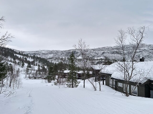 Bjornfjell Mountain Lodge-浴室