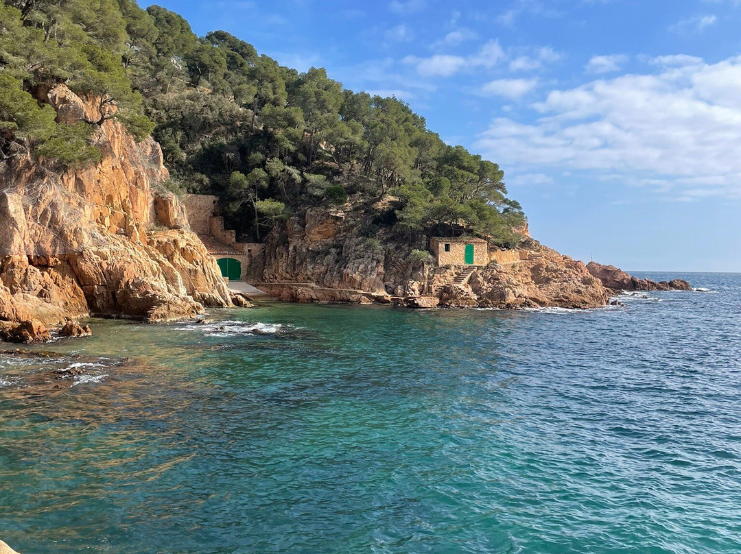 Tamariu Beach景点图片