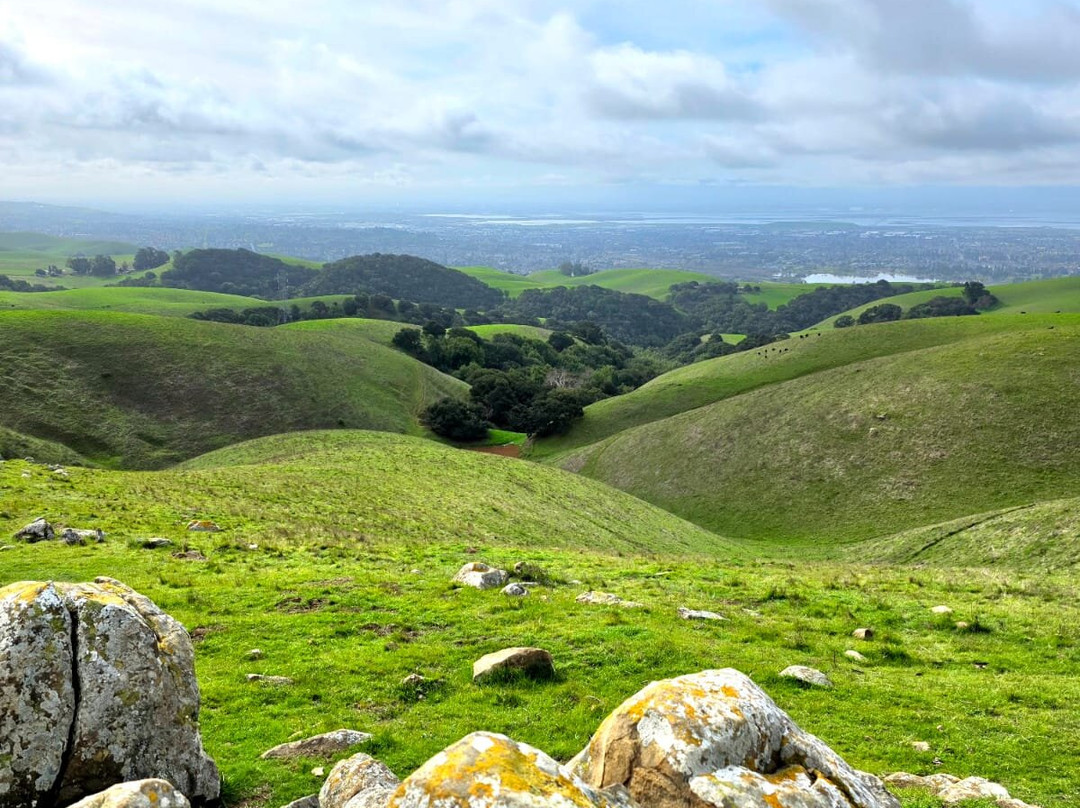 Vargas Plateau Regional Park-费利蒙必去景点