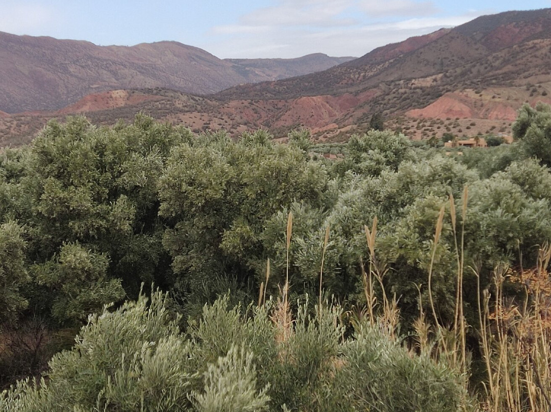 Expérience Atlas Mountains-奥伊俄贞必去景点