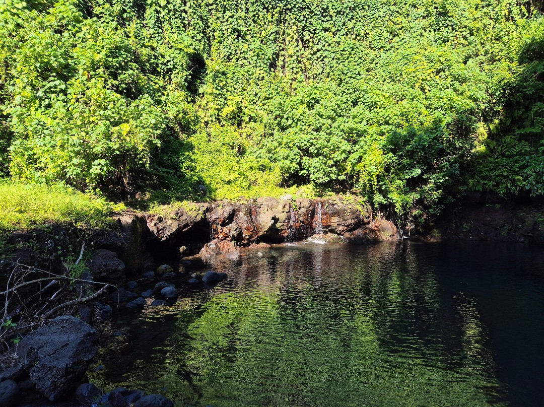 Afu Aau Waterfall-萨瓦伊岛必去景点