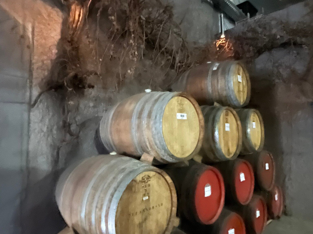 Barossa Cruisin景点图片