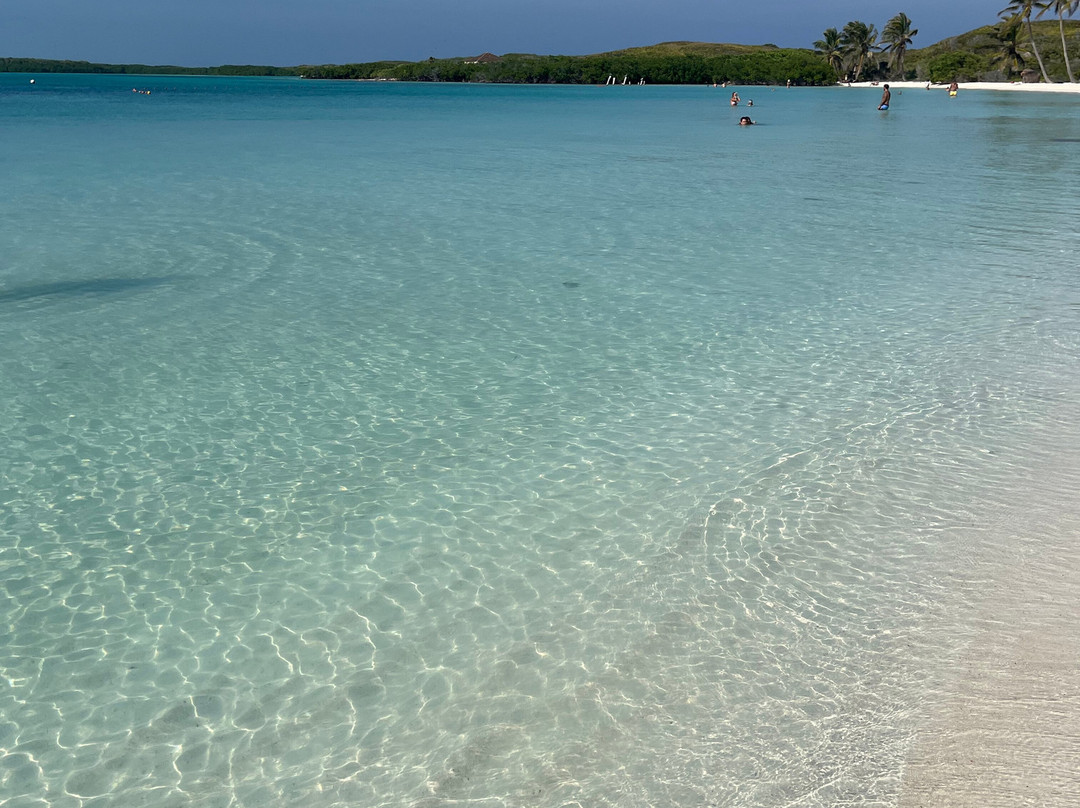 Asterix Contoy Tours-Isla Contoy必去景点