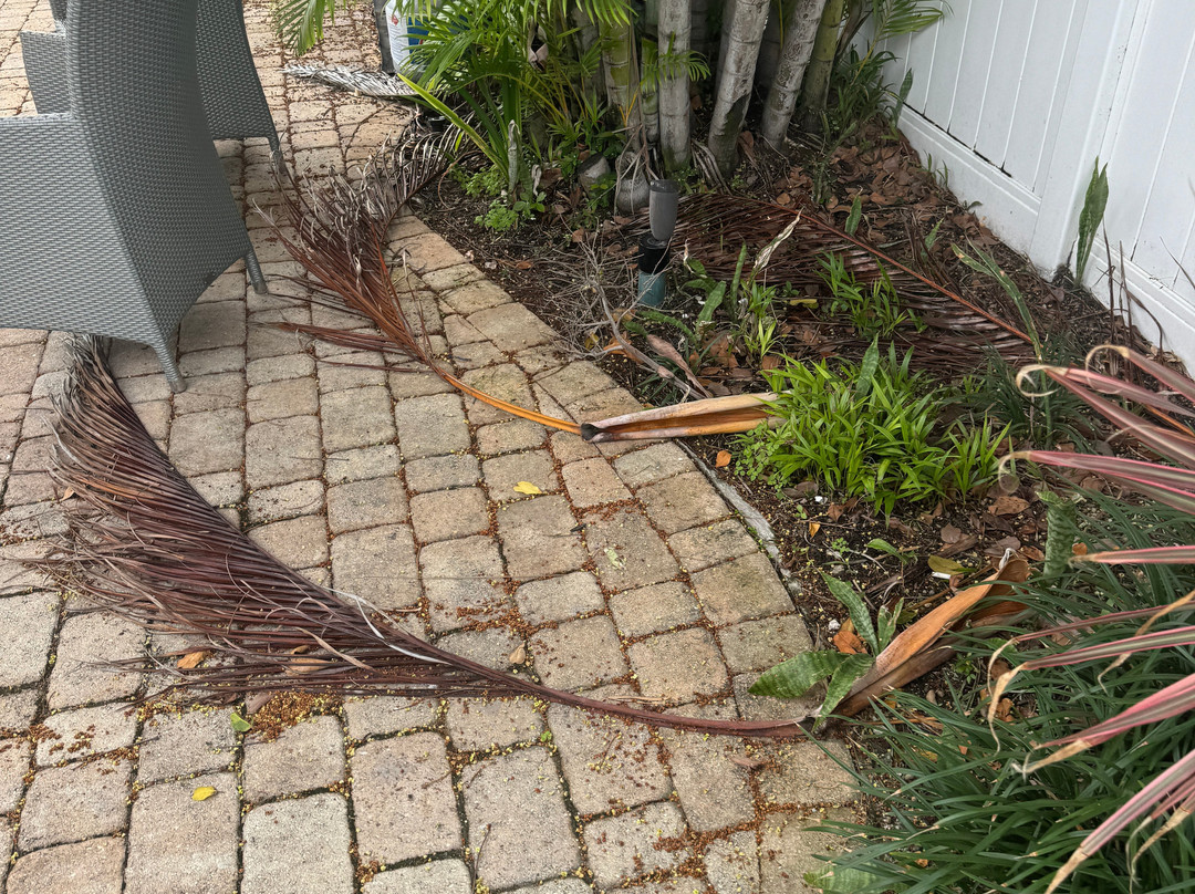 Hotel Seacrest主图