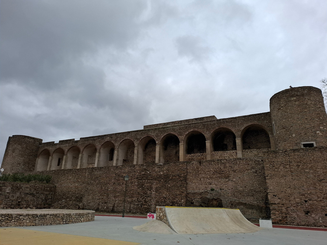 Castelo de Abrantes景点图片