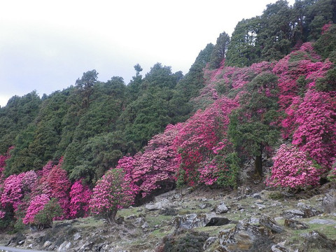 Iron Horses Adventures-里希克虚必去景点