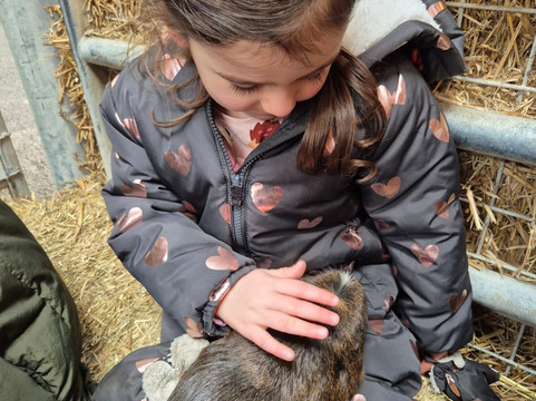 Thornton Hall Country Park-Thornton-in-Craven必去景点