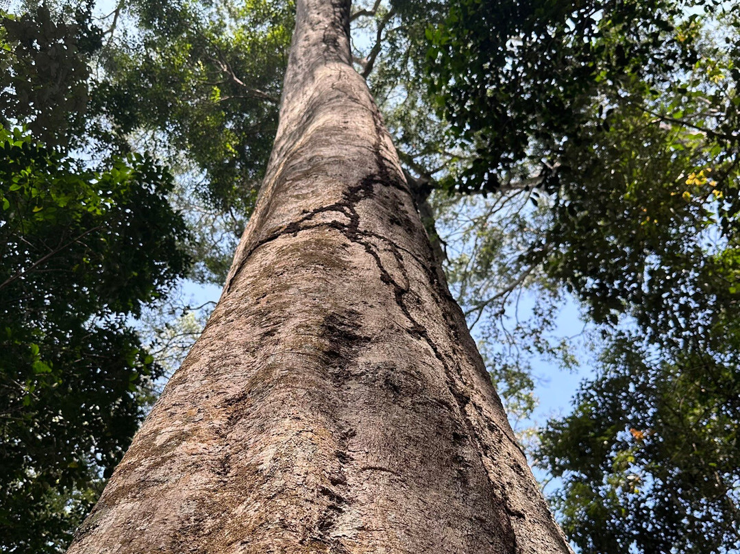 Periyar National Park景点图片