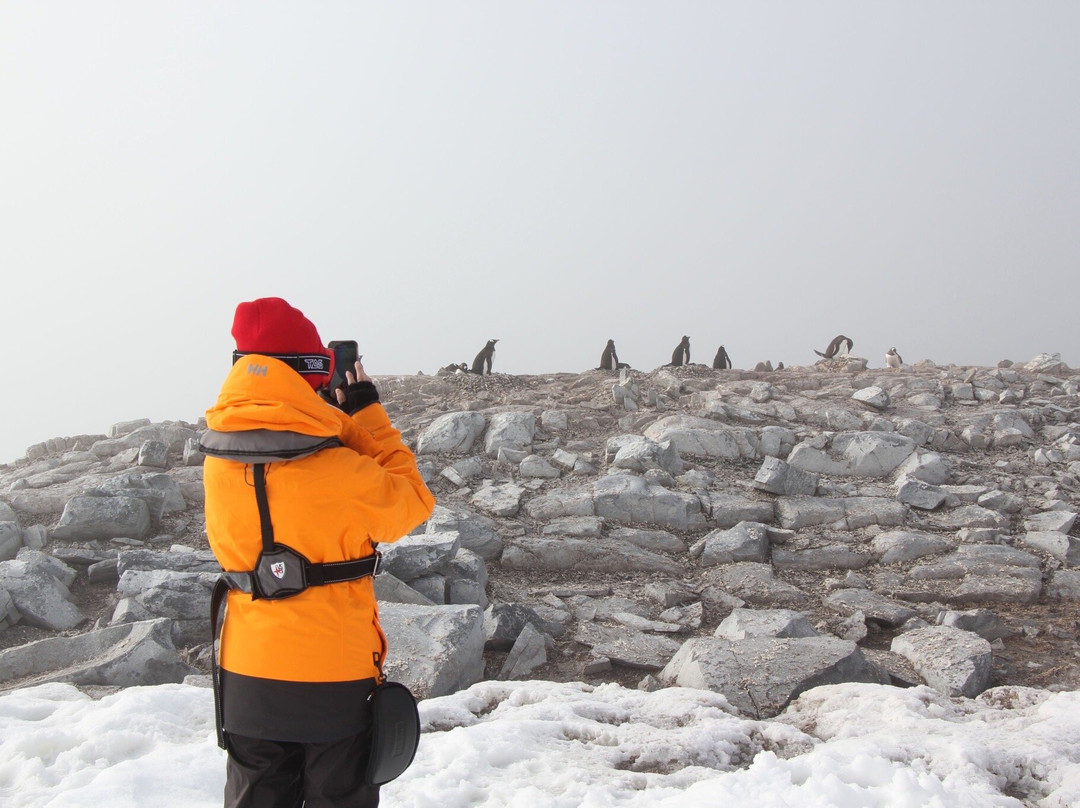 Gonzalez Videla Research Base-Paradise Harbour必去景点