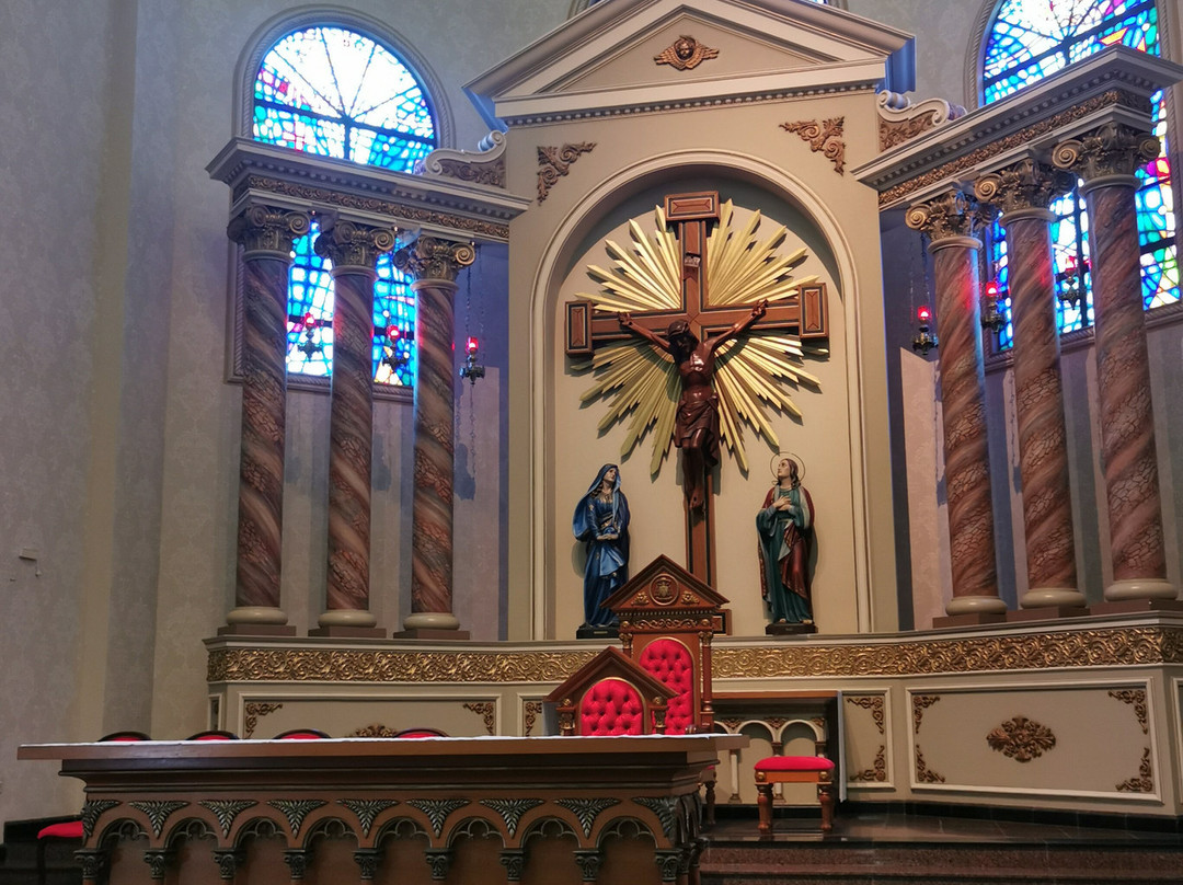 Catedral São José景点图片