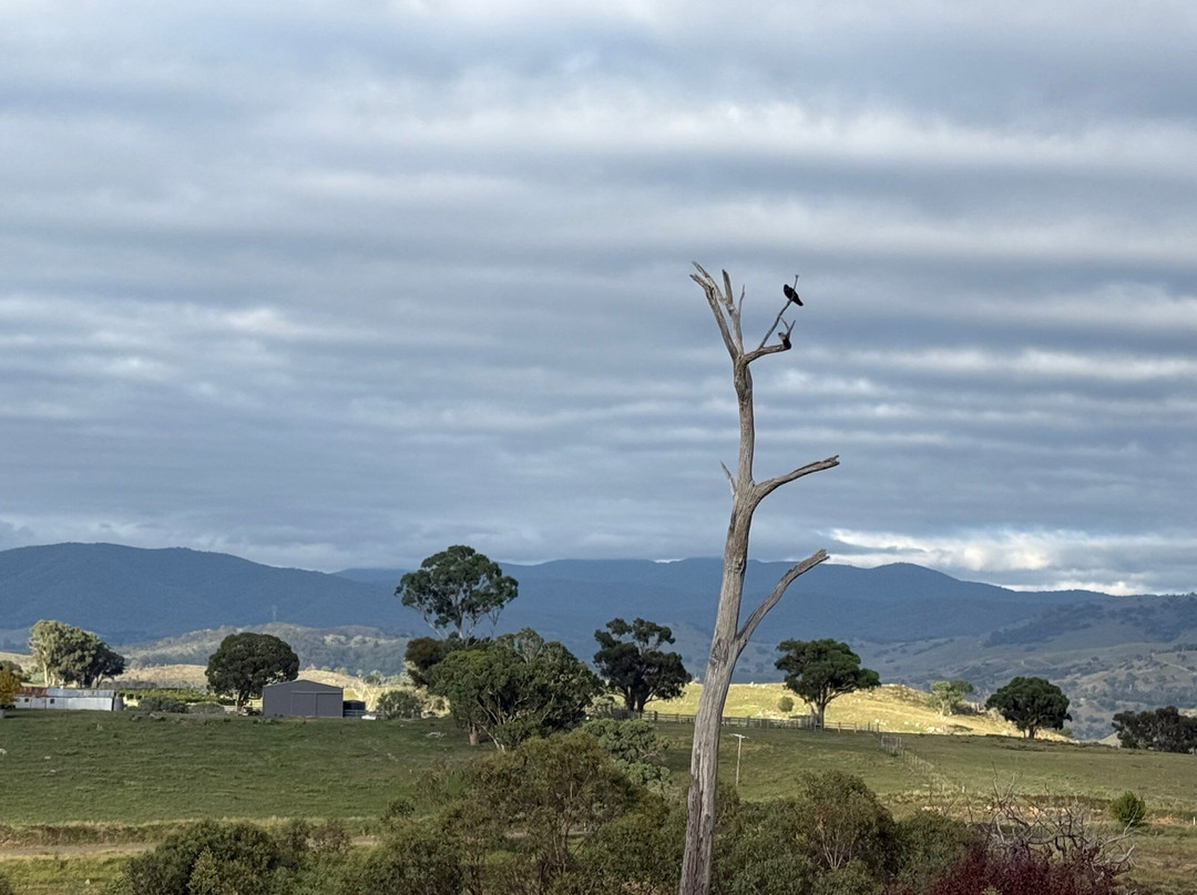 Last Stop Ambledown Brook Bed & Breakfast主图