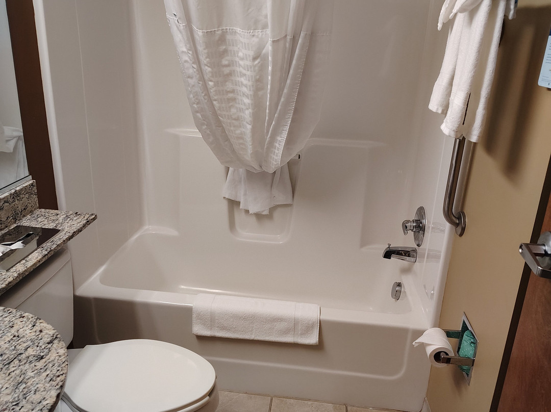 Microtel Inn & Suites by Wyndham Marietta主图