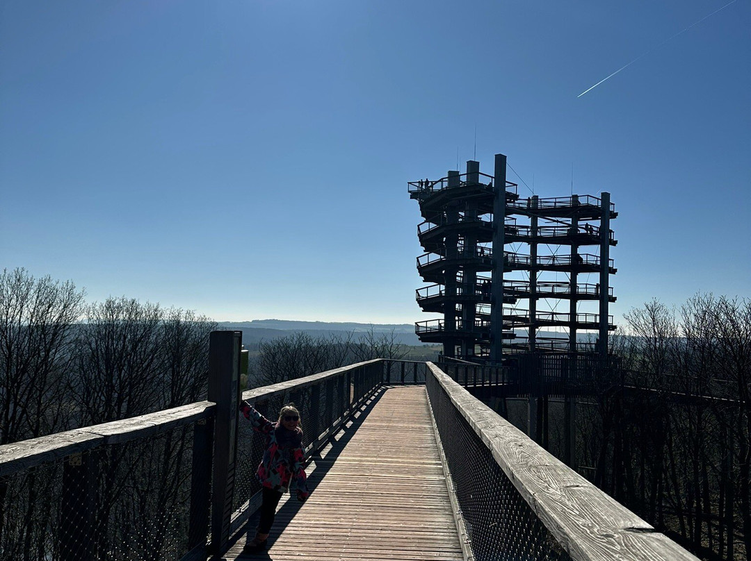 Treetop Path Saarschleife-Orscholz必去景点