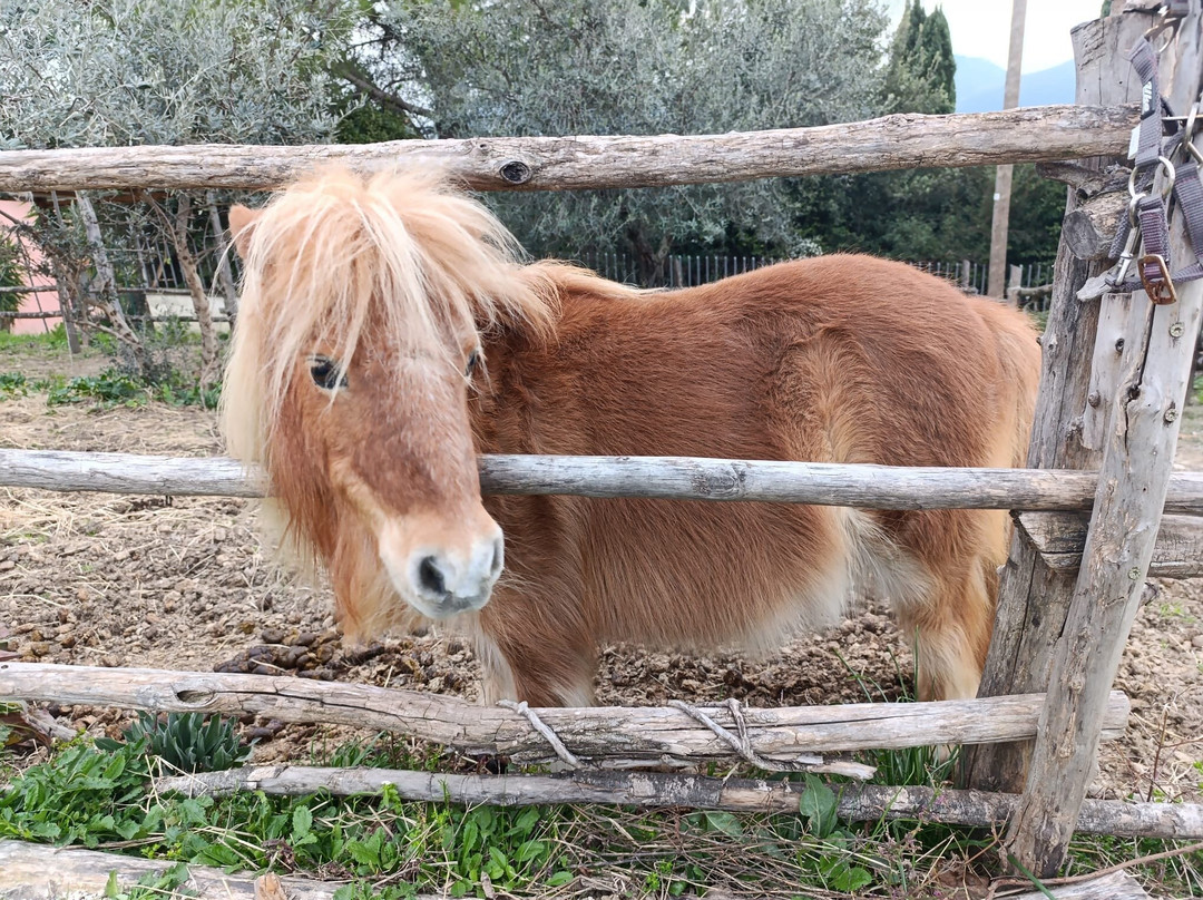 Sulla Collina di Castelnuovo di Farfa景点图片