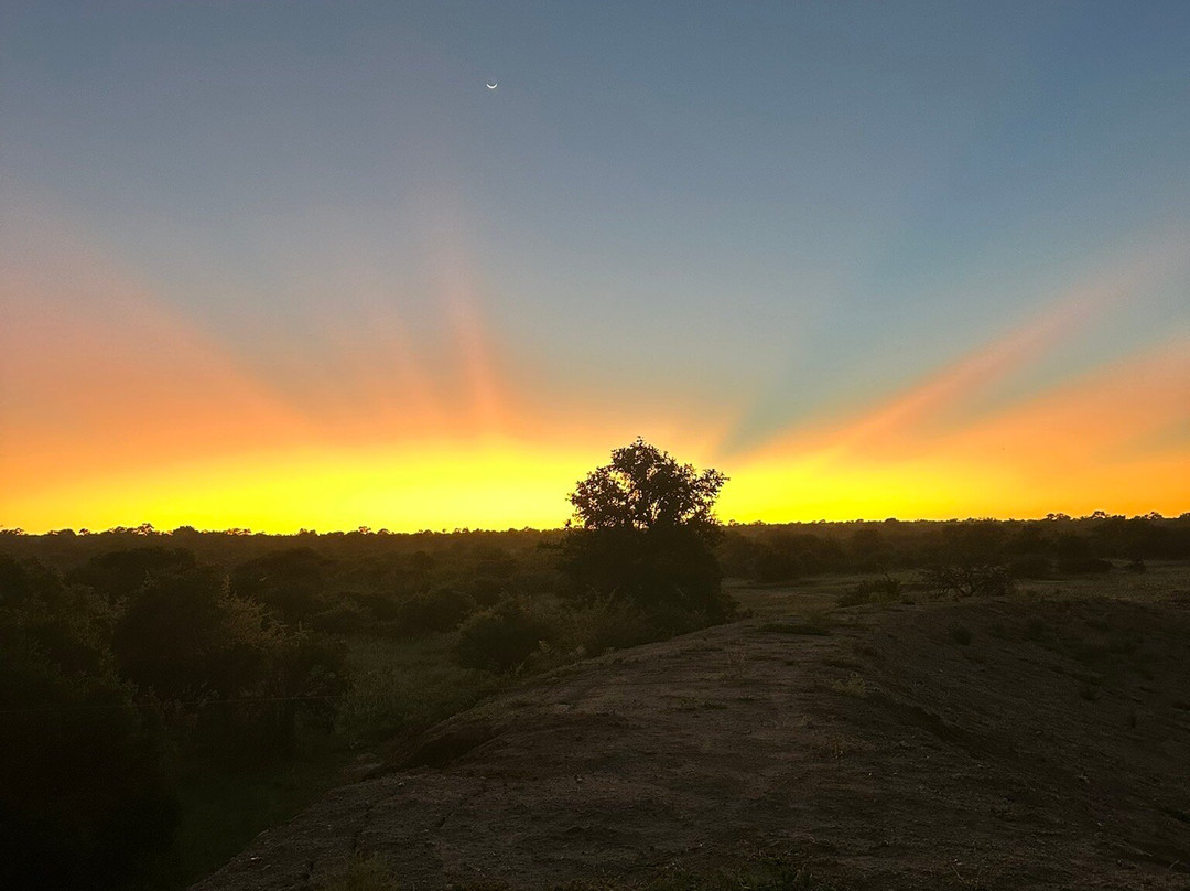 Tshukudu Game Lodge-霍德斯普鲁特必去景点