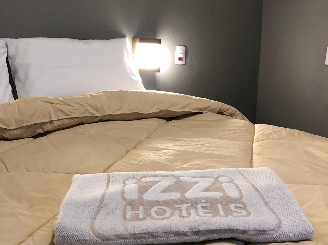 Hotel Izzi主图