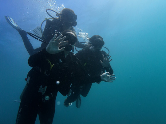 TamaDive-塔马林多必去景点