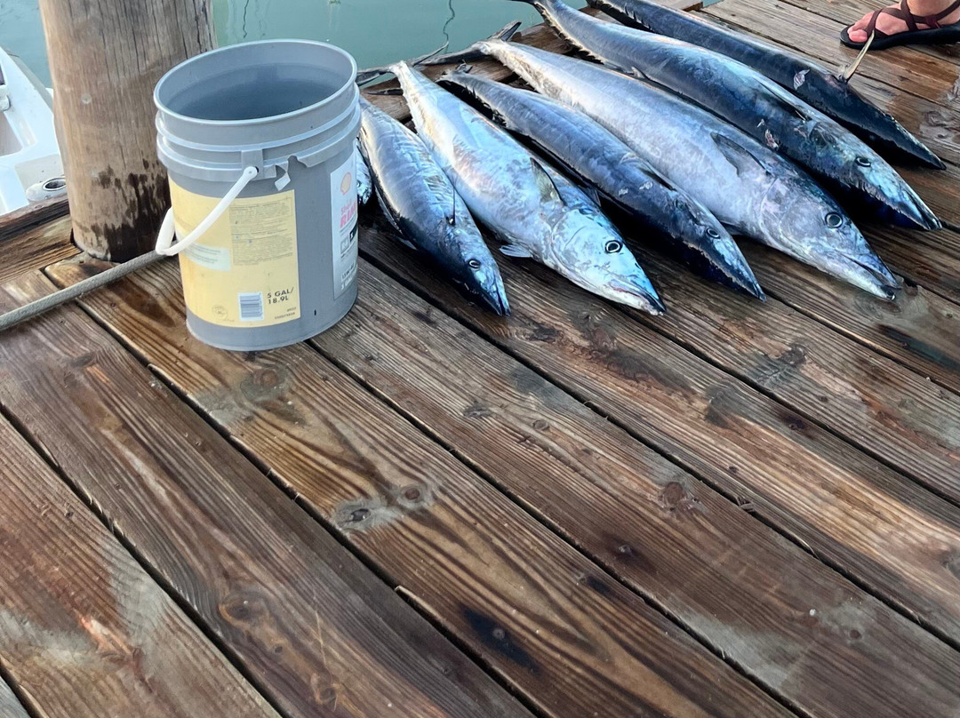 Mystic Amara III - Deep Sea & Bottom Fishing Charters-Jolly Harbour必去景点