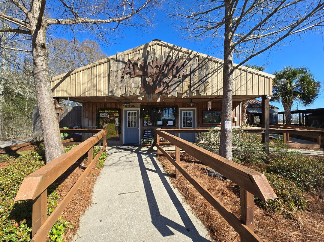 Alligator Alley-Summerdale必去景点