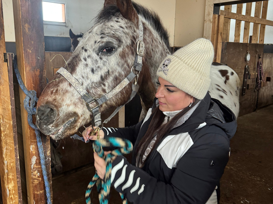 Lucky Ranch-Pyhatunturi必去景点
