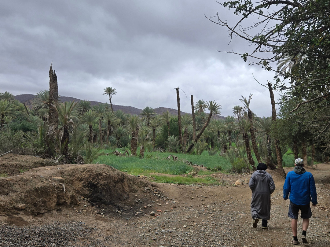 Oasis de Tiout主图