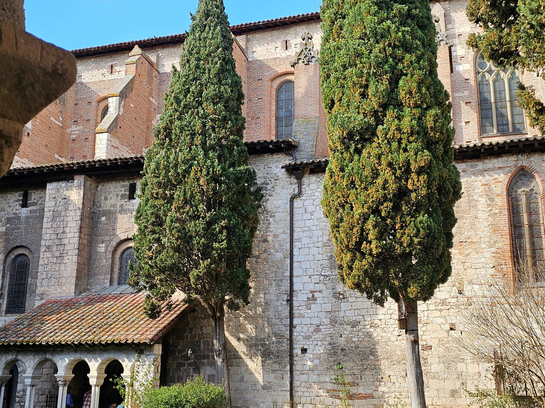 Cloitre de la Collegiale Saint Salvy-阿尔比必去景点