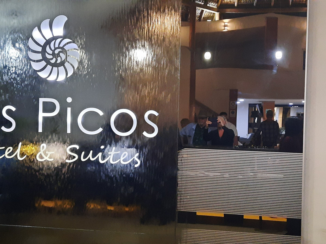 Los Picos Hotel & Suites Bucerias主图