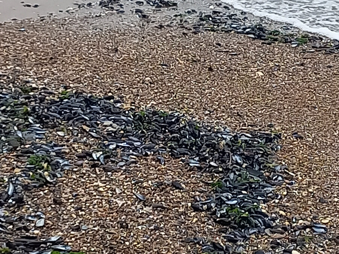 Playa Hermosa-Piriapolis必去景点