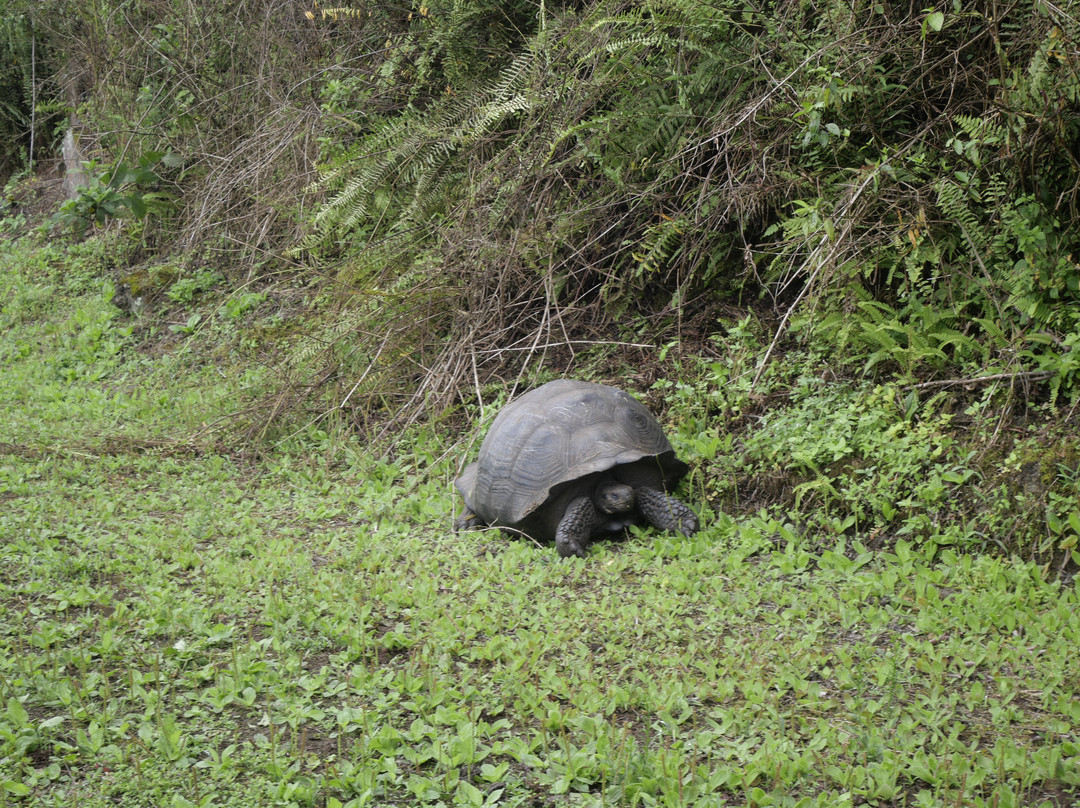 Cerro Mesa-阿约拉港必去景点