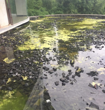 培卡图瑞士贝尔度假村主图