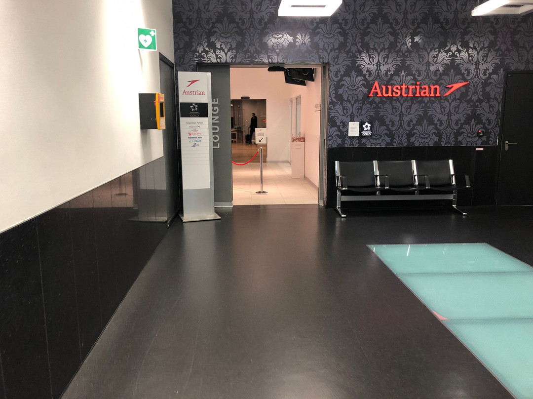 Austrian Senator Lounge-徐威夏特必去景点