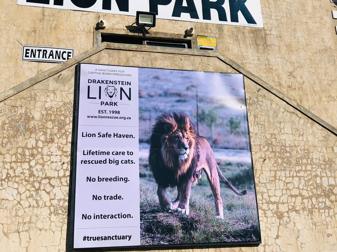 Drakenstein Lion Park-西开普必去景点
