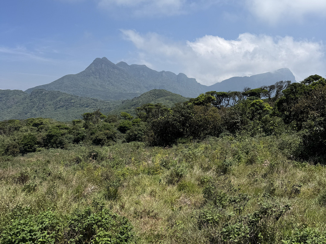Knuckles Trekking with Gamini-康提必去景点