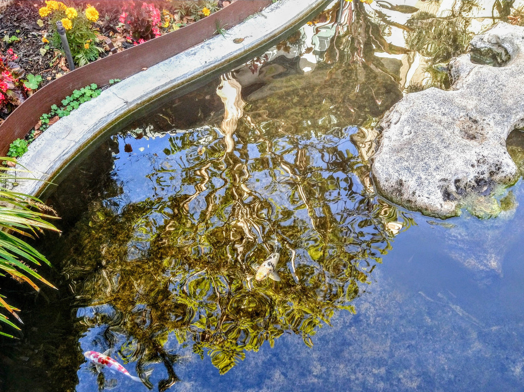 USC Pacific Asia Museum-帕萨迪纳必去景点