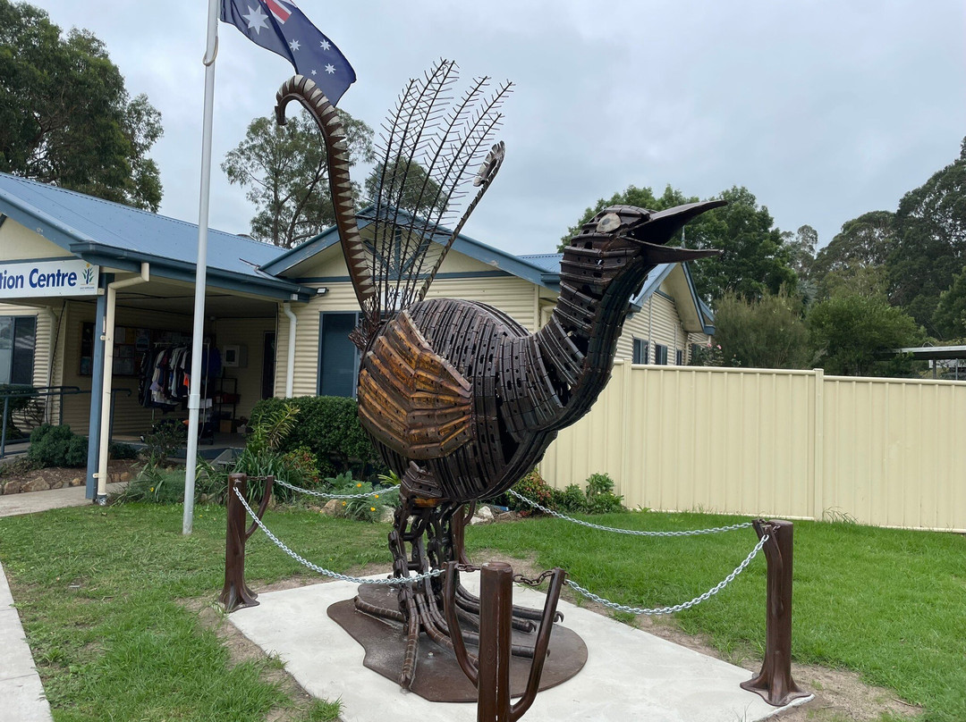 The Big Lyre Bird
