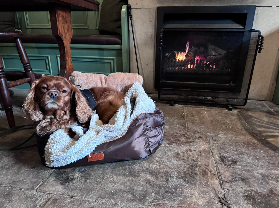 The Milbank Arms-Barningham必去景点