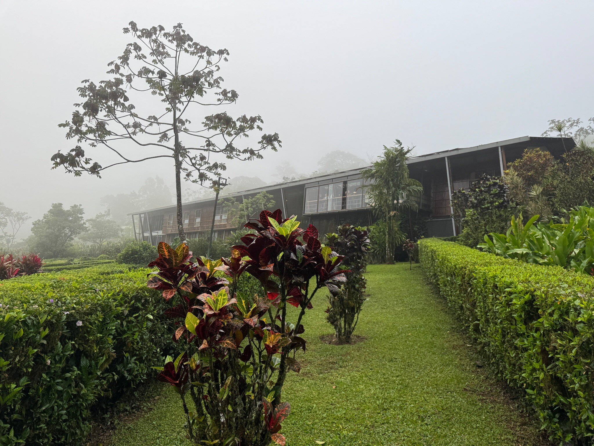 Celeste Mountain Lodge-官方