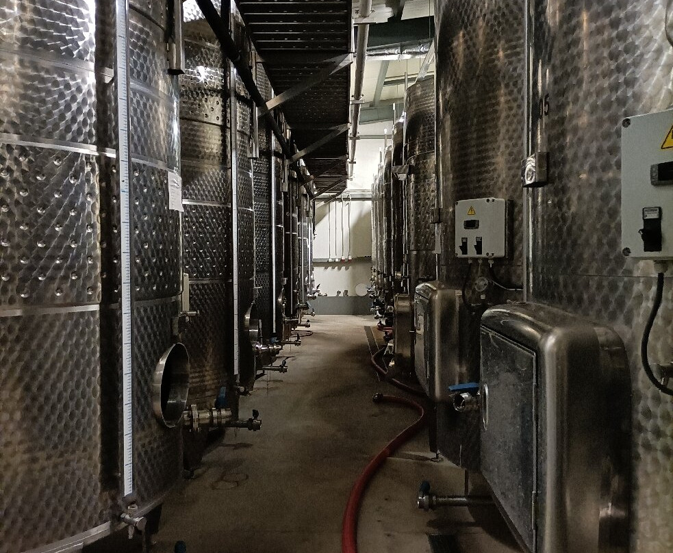Zlaten Rozhen Winery景点图片