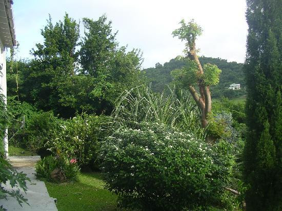 Caribbean Breeze主图