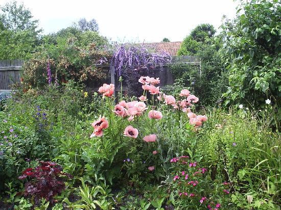 Welbeck Cottage主图