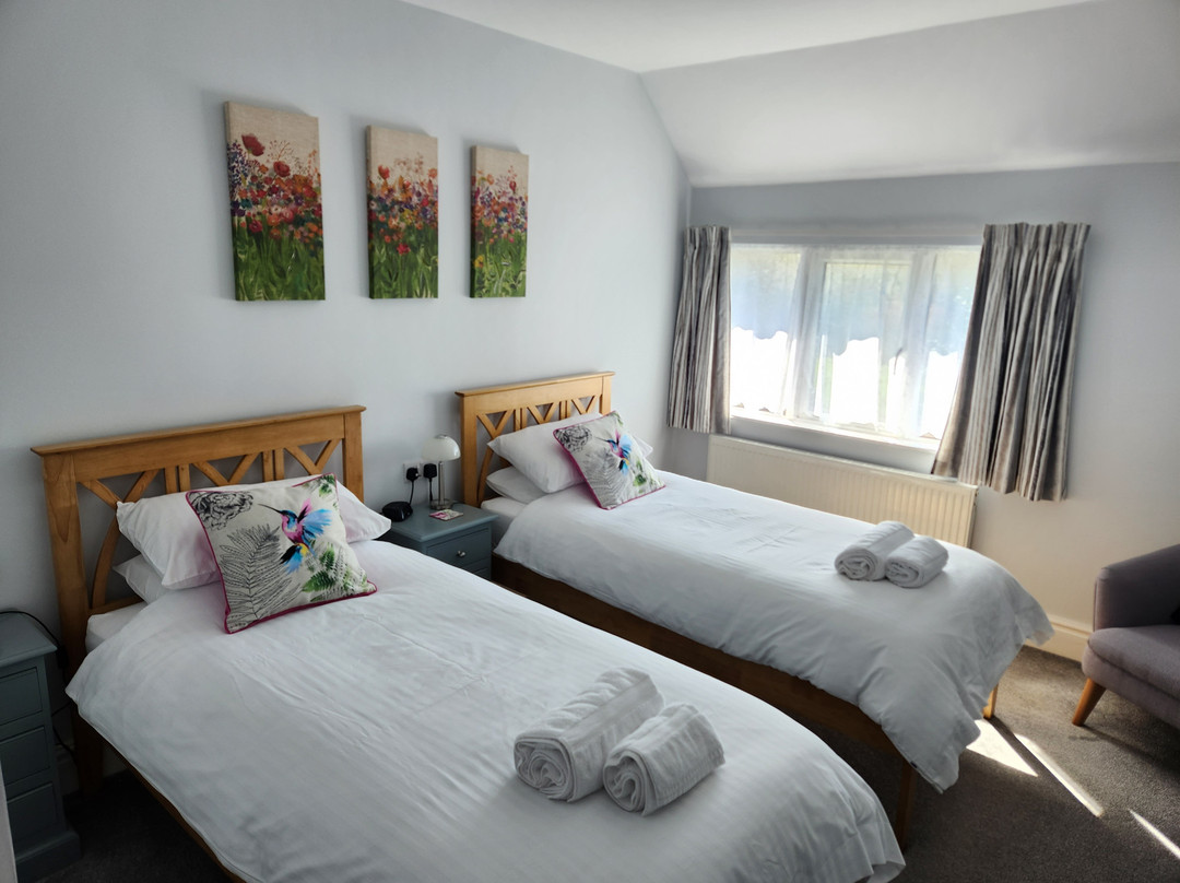 The Beehive Guest House主图