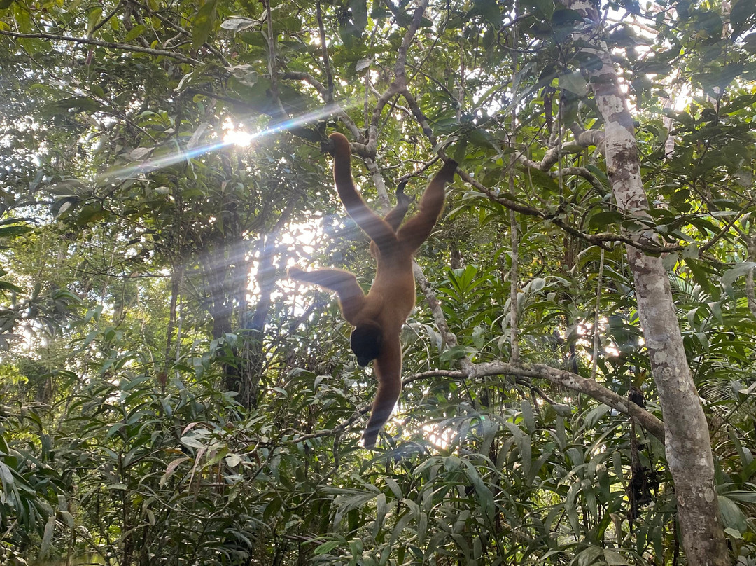 Jairo Mejia Prado景点图片