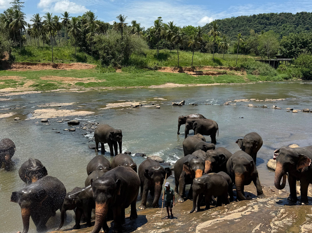 LK Travels & Tours SRI LANKA景点图片
