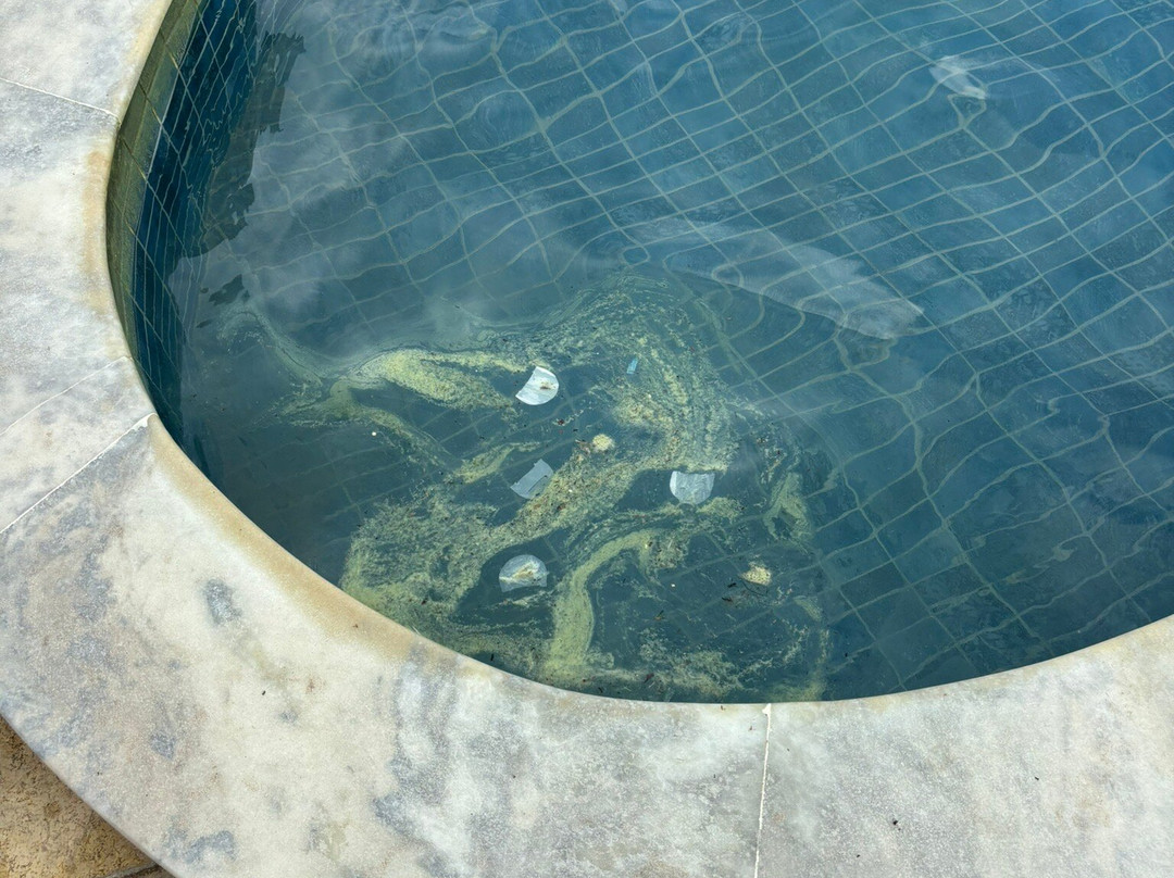 Pontal do Maragogi-Maragogi必去景点