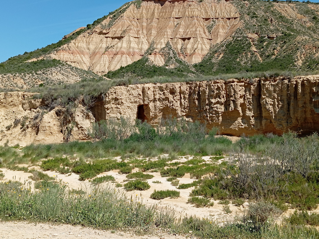 Bardenas Reales景点图片