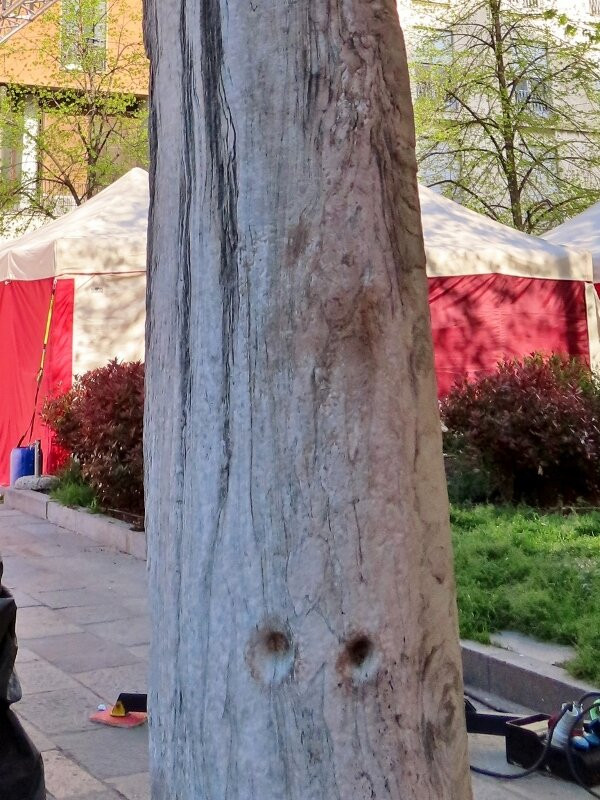 Colonna del Diavolo景点图片