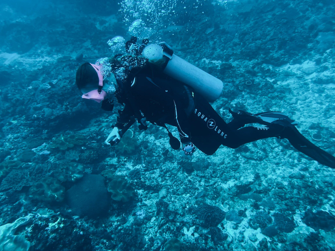 Tamarind Divers-蓝梦岛必去景点