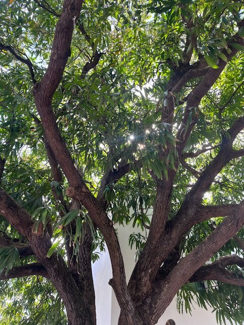 帕克达拉斯帕洛马斯-圣胡安必去景点