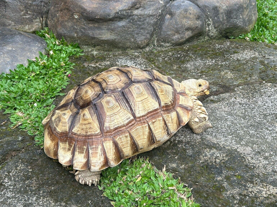 Kirani Bali Tour景点图片